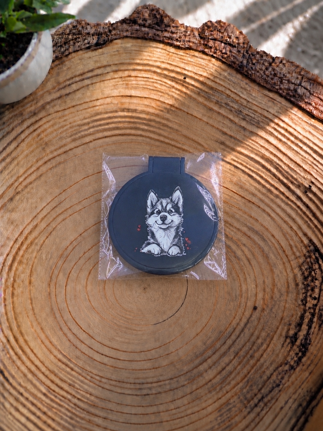 Zrcátko - Husky