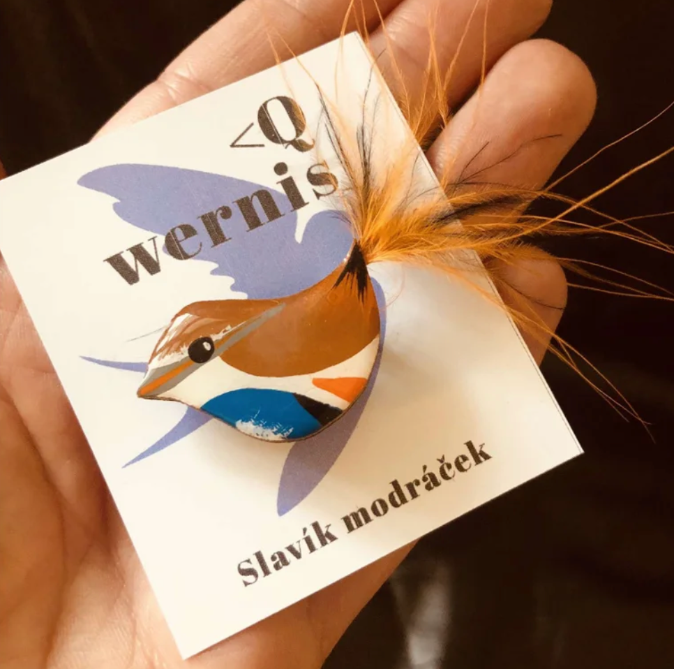 Wernis brož - Slavík modráček