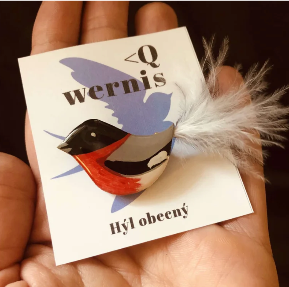 Wrnis brož - Hýl obecný
